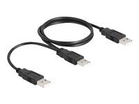 Kabel USB - USB (M) do USB (M) - USB 2.0 - 70 cm - černá