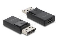 DisplayPort to Mini DisplayPort Adapter