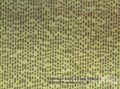 Mikroskop Bresser Science MTL 201 50-800x