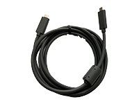 USB kabel - USB-C (M) do USB-C (M) - pro Rally