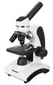 (CZ) Mikroskop Levenhuk Discovery Pico
