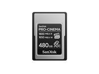 SanDisk PRO-CINEMA - Pametová karta flash - 480 GB - CFexpress typ A