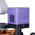 Fluorescenční inverzní digitální mikroskop MAGUS Lum VD500