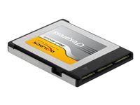 Paměťová karta flash - 256 GB - CFexpress