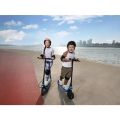 Ninebot by Segway eKickScooter C2 Lite