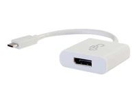 USB Type C to DisplayPort White - Externí video adaptér - USB 3.1 - DisplayPort - bílá