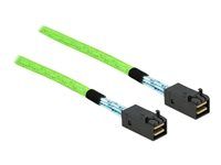PCI Express Cable Mini SAS HD SFF-8673 t