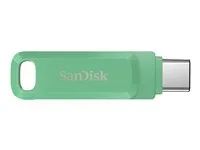 Jednotka USB flash - 128 GB - USB 3.2 Gen 1 / USB-C - zelená absinthe