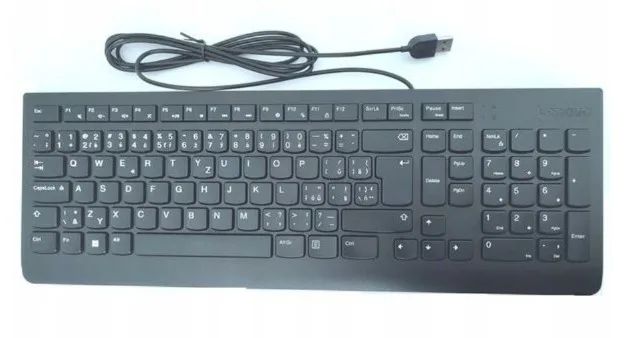 Lenovo Essential Wired Keyboard/Drátové USB-A/CZ/SK/Černá