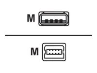 Cisco - Kabel USB - USB (M) do mini-USB typ B (M) - 1.83 m - pro P/N: IR829B-2LTE-EA-RK9, IR829B-LTE-EA-RK9, IR829M-2LTE-EA-RK9, IR829M-LTE-EA-RK9