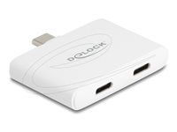 USB Type-C Adapter to USB-C Data 10 Gb