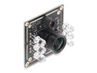 Delock - Bezpečnostní kamera - deska - černobílý - 0.92 MP - 1280 x 720 - pevné ohnisko - USB 2.0 - DC 5 V