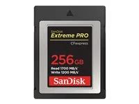 Paměťová karta flash - 256 GB - CFexpress
