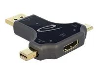 Video adaptér - USB-C, Mini DisplayPort, DisplayPort s piny (male) do HDMI se zdířkami (female) - antracit - podporuje 4K