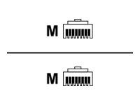 Patch kabel - RJ-45 (M) do RJ-45 (M) - 2 m - STP - CAT 6a - lisovaný, provedení bez hrbolků, licna - bílá
