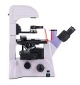 Fluorescenční inverzní digitální mikroskop MAGUS Lum VD500L