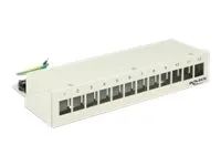 Propojovací panel - světle šedá, RAL 7035 - 12 portů