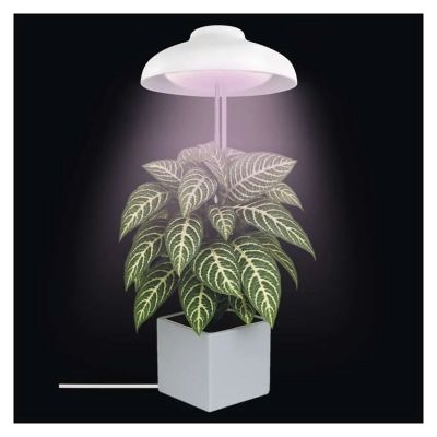 Rostoucí lampa EMOS Z7901 Grow 5W