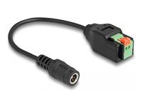 DC 2.1 x 5.5 mm jack to Terminal Block A