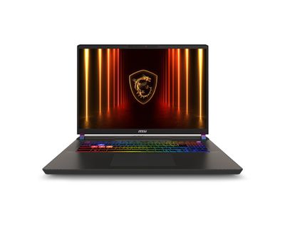 MSI Vector/17 HX AI A2XWJG-031CZ/U9-275HX/17"/2560x1600/32GB/2TB/RTX 5090/W11H/Gray/2R