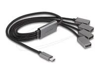 4 Port USB 2.0 Cable Hub with USB Type-C