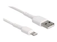 Kabel Lightning - USB s piny (male) do Lightning s piny (male) - 30 cm - bílá