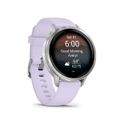 GARMIN VENU 4, Smart hodinky, Gray/ Silver 41