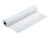 Pololesklý - Role (111,8 cm x 30,5 m) - 255 g/m² - 1 role fotografický papír - pro Stylus Pro 11880, Pro 98XX; SureColor SC-P10000, P20000, P8000, P9000, P9500, T7000, T7200