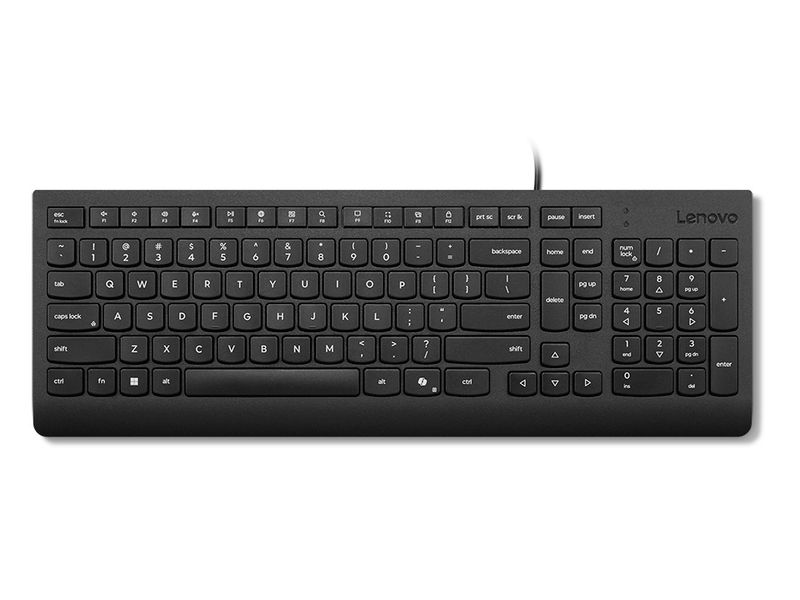 Lenovo Essential/Drátové USB-A/US layout/Černá