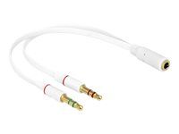 Adaptér na sluchátka - mini-phone stereo 3.5 mm s piny (male) do 4 pólový mini jack se zdířkami (female) - 20 cm - bílá