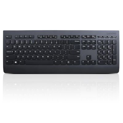 Lenovo Professional Wireless Keyboard/Bezdrátové USB/CZ/SK/Černá