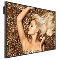 BENQ SL6502K, LED Panel 4K UHD 65"
