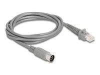 Cable RJ50 male to DIN 8 pin male 2 m gr
