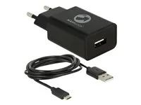 Síťový adaptér - 12 watt - 2.4 A (USB) - na kabelu: Micro-USB - černá