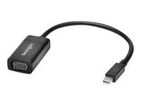 Nástroj pro převod videa - DisplayPort - VGA - černá