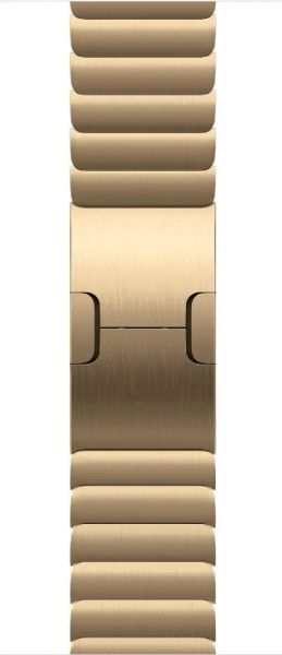 Watch Acc/42/Radiant Gold Link Bracelet