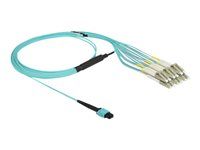 Optical Fiber Cable MPO female to 6 x LC