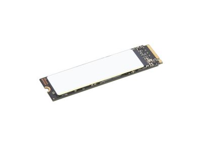 Lenovo ThinkPad/1TB/SSD/M.2 NVMe/Černá/1R