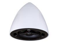Reproduktor - pro PA systém - 125 watt - 2-cestný - bílá