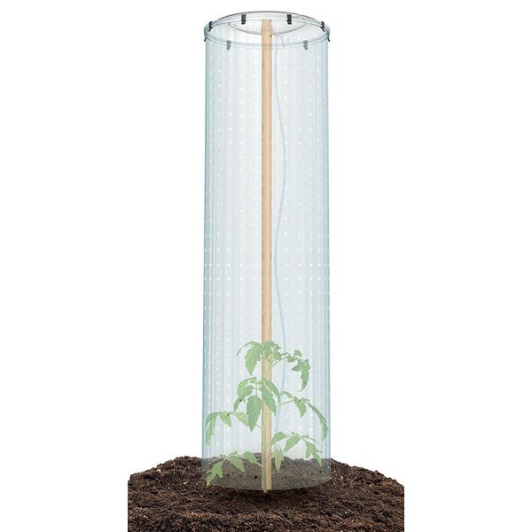 Sada pro pěstování rajčat TOMATO GROWER CAP 38,5cm