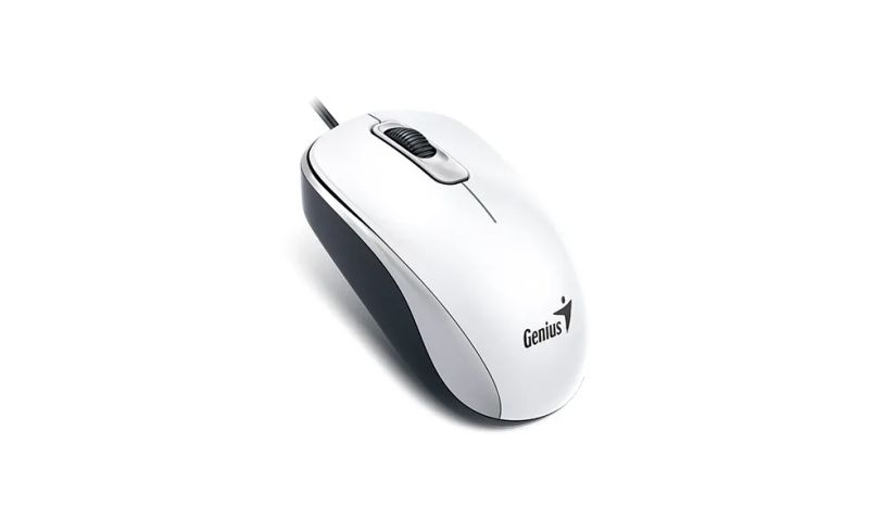 GENIUS DX-110/Kancelářská/Optická/1 000 DPI/Drátová USB/Bílá