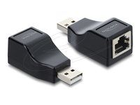 Delock - Sériový adaptér RS-232 - USB (M) do RJ-45 (F) - USB 2.0 - cerná