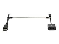 Dongle Cable Tether (CONNLOCKPK10) - Bezpečnostní kabel - stříbrná - 30 cm - kompatibilní s TAA (balení 10)