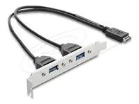 USB Type-E Key A male to 2 x USB 5 Gbps