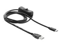 Delock - USB / napájecí kabel - USB (M) do USB (M) - 5 V - 0.5 A - 1.5 m - spínac zapnutí/vypnutí - cerná
