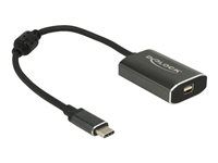 Externí video adaptér - VL100 - USB-C - Mini DisplayPort - tmavě šedá - maloobchod