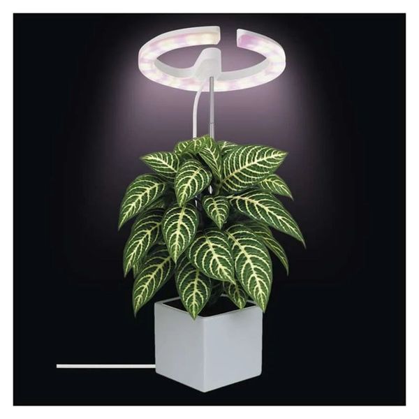 Rostoucí lampa EMOS Z7902 Grow 8W