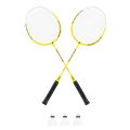 Sada na badminton REBEL RBA-4102