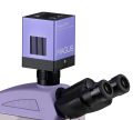 Fluorescenční digitální mikroskop MAGUS Lum D450L