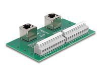 RJ50 2 x female to 2 x Terminal Block wi